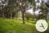8/66 Paul Coe Crescent, Ngunnawal, ACT 2913-Image