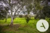 8/66 Paul Coe Crescent, Ngunnawal, ACT 2913-Image