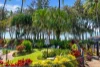 8/85-93 Williams Esplanade, Palm Cove, Qld 4879-Image