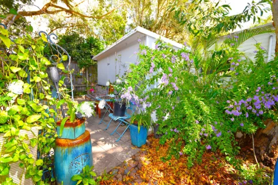 80/1 Beerburrum Street, Dicky Beach, Qld 4551-Image