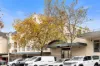 81/120 Cabramatta Road, Cremorne, NSW 2090-Image