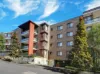 87/40-52 Barina Downs Road, Norwest, NSW 2153-Image