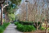 89/344 Bulwara Road, Ultimo, NSW 2007-Image