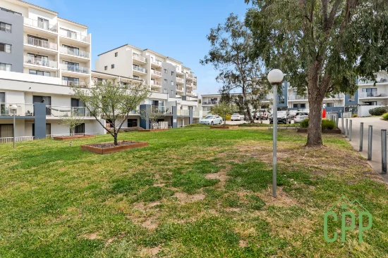 8a/21 Beissel Street, Belconnen, ACT 2617-Image