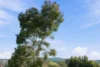8c/17 Uriarra Road, Queanbeyan, NSW 2620-Image