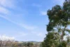 8c/17 Uriarra Road, Queanbeyan, NSW 2620-Image