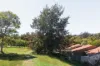 9/1 Edwell Place, Lyneham, ACT 2602-Image
