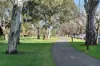 9/311 South Terrace, Adelaide SA 5000-Image