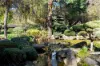 9/311 South Terrace, Adelaide SA 5000-Image