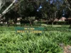 9/36 Smith Street, Highgate, WA 6003-Image