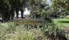 9/36 Smith Street, Highgate, WA 6003-Image