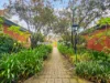 9/40 Torrens Street, College Park, SA 5069-Image