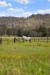 9 Merchants Road, Martins Creek, NSW 2420-Image