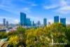 9J/15 Campbell Street, Parramatta, NSW 2150-Image