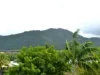 Address available on request, Mooroobool, Qld 4870-Image