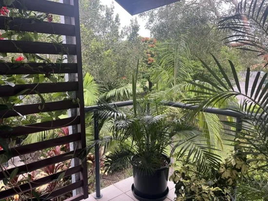 Address available on request, Noosaville, Qld 4566 - For Rent