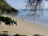 Apartment 3/79 Sims Esplanade, Yorkeys Knob, Qld 4878-Image