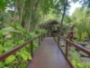 D250 Ramada/316 Port Douglas Road, Port Douglas, Qld 4877-Image