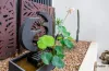 G03/88 Jefferson Lane, Palm Beach, Qld 4221-Image
