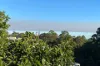 G04/2 Canberra Avenue, St Leonards, NSW 2065-Image