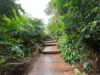 Greygums 15/79 Kings Road, Cooranbong NSW 2265-Image