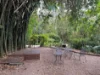 Greygums 15/79 Kings Road, Cooranbong NSW 2265-Image
