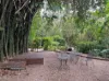 Hilltop 1/79 Kings Road, Cooranbong NSW 2265-Image