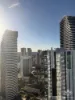 ID:21192766/12 Philip Avenue, Broadbeach, Qld 4218-Image