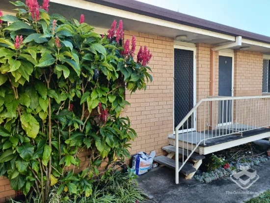 ID:21193463/48 Chaucer Street, Moorooka, Qld 4105