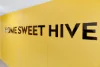 Level 3/109 Sir Fred Schonell Dr, St Lucia, Qld 4067-Image
