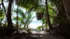 Mirage Villa 129, Bougainvillea Way East, Port Douglas, Qld 4877-Image