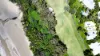 Mirage Villa 131, Bougainvillea Way East, Port Douglas, Qld 4877-Image