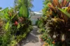 Mirage Villa 131, Bougainvillea Way East, Port Douglas, Qld 4877-Image