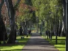 UNIT 1/86A Hewitt Avenue, Toorak Gardens, SA 5065-Image