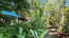 Unit 1 'Castaways'/3 Mowbray Street, Port Douglas, Qld 4877-Image