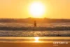 Unit 1606 'BASK' 38 Bokarina Boulevard, Bokarina, Qld 4575-Image