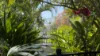 Unit 2/135 Reid Road, Wongaling Beach, Qld 4852-Image