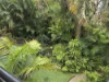 Unit 2/39-41 Elanda Street, Sunshine Beach, Qld 4567-Image