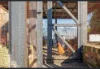 UNIT 201/18 HUNTLEY STREET, Alexandria, NSW 2015-Image