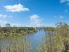 Unit 37/99 Birtinya Boulevard, Birtinya, Qld 4575-Image