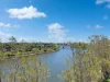 Unit 37/99, Birtinya QLD 4575-Image
