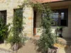 UNIT 4/4 Colville Street, Battery Point, Tas 7004-Image