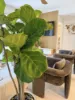 UNIT 41/16 Corio Street, Bulimba, Qld 4171-Image