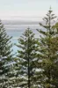 Unit 41/1941-1945 Gold Coast Highway, Burleigh Heads, Qld 4220-Image