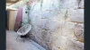 UNIT 5/125 Hastings Street, Scarborough, WA 6019-Image
