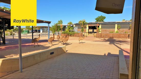 Ray White - Exmouth - Real Estate Agency