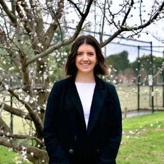 Charly Delmenico - Real Estate Agent