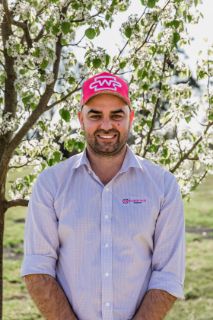 Matthew  Velcich - Real Estate Agent