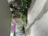 1/11 McKenzie Street, Windsor, Qld 4030-Image