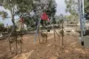 1/182 McDonald Street, Joondanna, WA 6060-Image